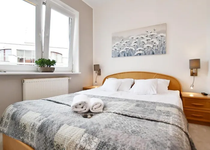 Porto Z Rowerami Gratis דירה קולובז'ג