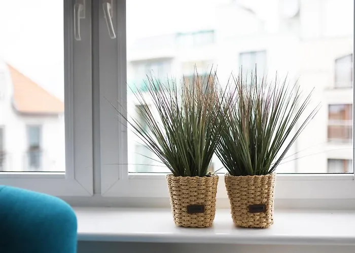 Porto Z Rowerami Gratis דירה *