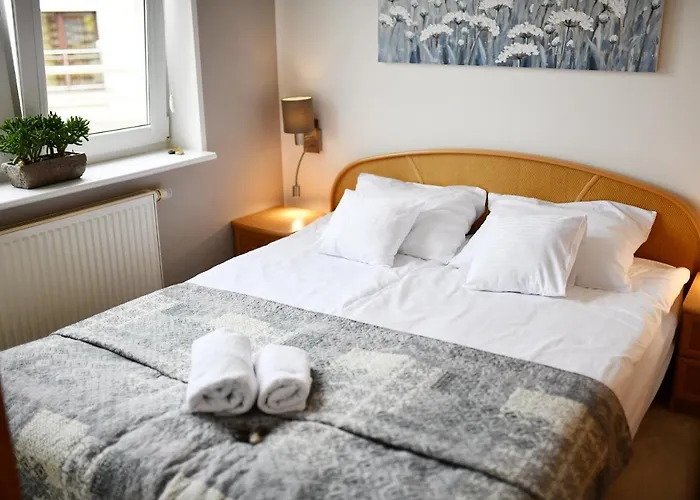 Porto Z Rowerami Gratis *