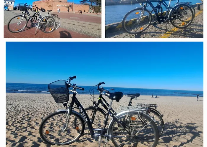 Porto Z Rowerami Gratis דירה