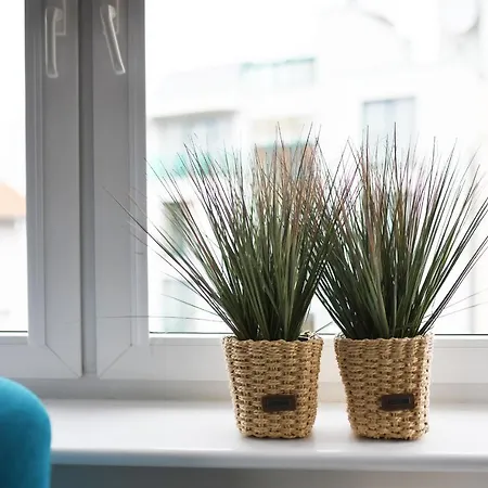 Porto Z Rowerami Gratis Apartament *