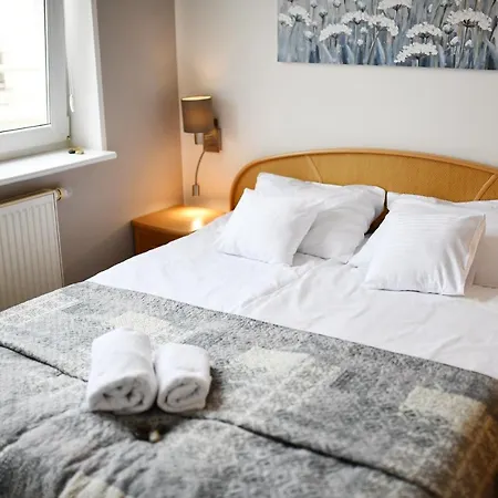 Porto Z Rowerami Gratis *