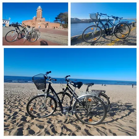 Porto Z Rowerami Gratis Apartament